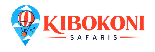 Explore Kibokoni Safaris