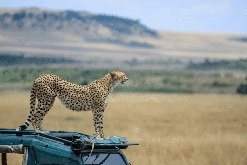 Maasai Mara