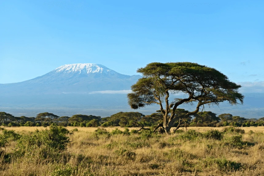 Amboseli