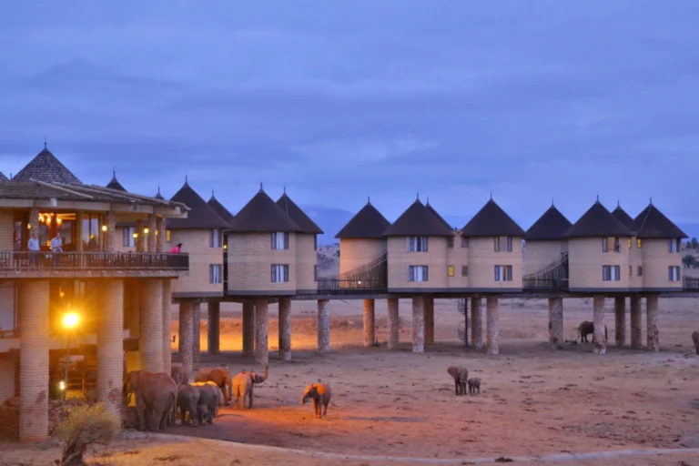 Raised guest rooms at Salt Lick Safari Lodge at dusk