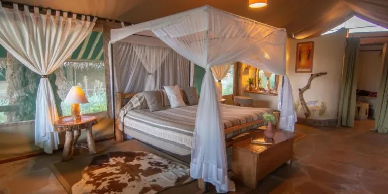 Cozy Safari Tent Interior at Kibo Safari Camp