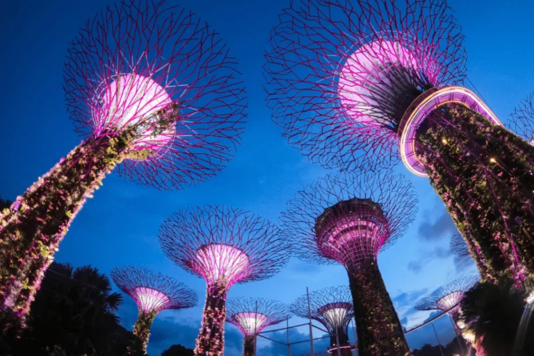 Illuminated Supertrees at Gardens by the Bay in Singapore