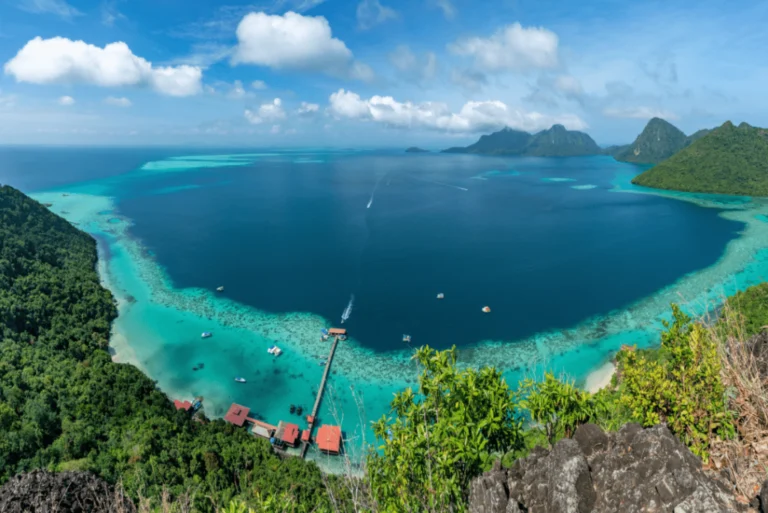 Turquoise sea and islands viewed from a tropical hillside