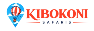 Explore Kibokoni Safaris