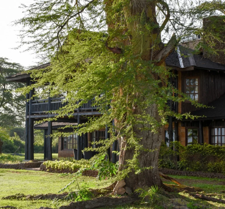 Villa exterior surrounded by trees at Kibo Villa