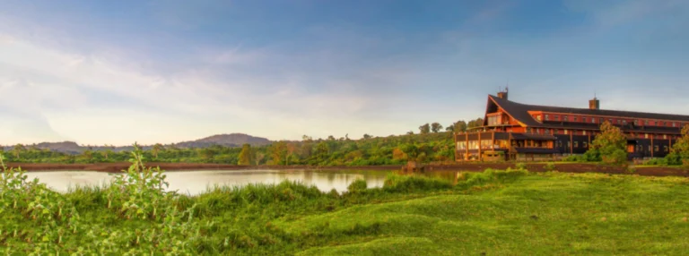 Forest lodge overlooking a waterhole at The Ark Lodge