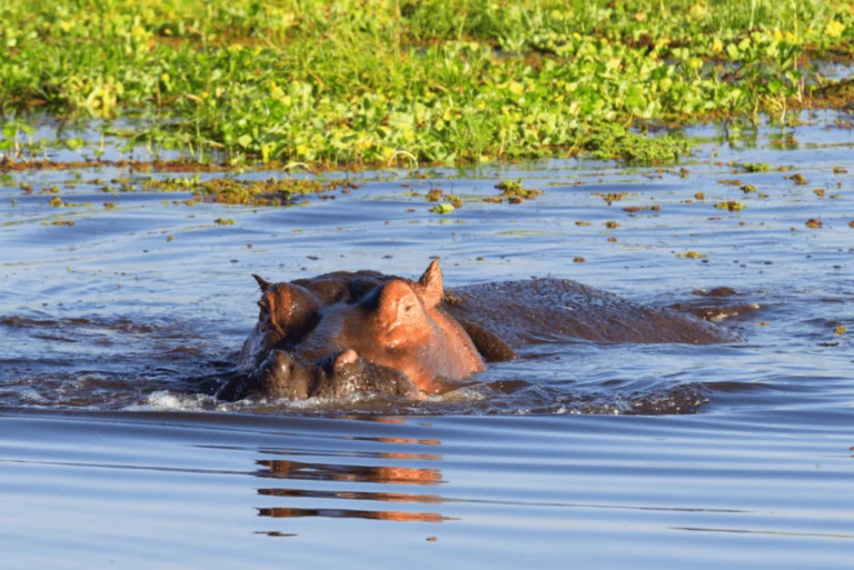 3 Days Lake Naivasha