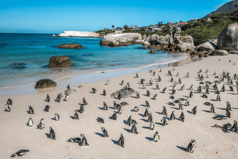 South Africa